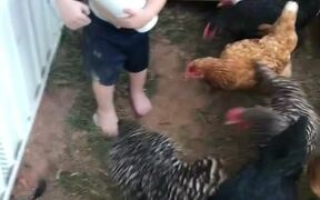 Toddler Adorably Feeds Chickens - Animals - VIDEOTIME.COM