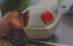Parrot Loves Being Bathed in Rain - Animals - VIDEOTIME.COM