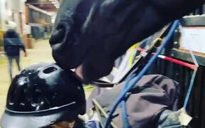 Horse Affectionately Licks Little Girl's Helmet - Animals - VIDEOTIME.COM