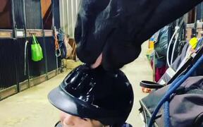 Horse Affectionately Licks Little Girl's Helmet - Animals - VIDEOTIME.COM