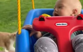 Cat Gets Knocked Off by Baby's Swing