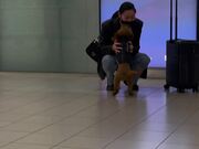Adorable Pup Gives Owner The Most Priceless Hug