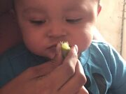 Little Baby Tries Lime For First Time