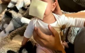 Mother Quiets Crying Baby With Cheese Slice Trick - Kids - VIDEOTIME.COM