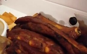 Pup Licks Food Through Small Hole on Takeaway Box - Animals - VIDEOTIME.COM