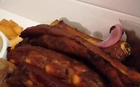 Pup Licks Food Through Small Hole on Takeaway Box - Animals - VIDEOTIME.COM