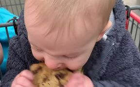 Baby Gets Obsessed With Chocolate Chip Cookie - Kids - VIDEOTIME.COM