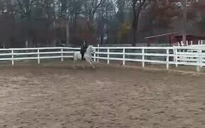 Girl Gets Bucked Off by Her Horse - Animals - VIDEOTIME.COM