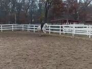 Girl Gets Bucked Off by Her Horse