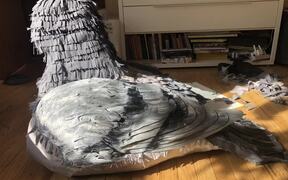 Owners Create Pigeon Costume For French Bulldog - Animals - VIDEOTIME.COM