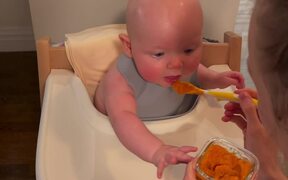 Kid Tastes and Dislikes Food Being Offered by Mom