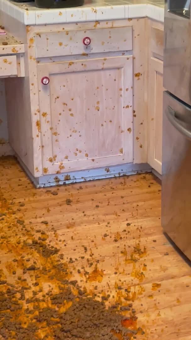 Woman Drops Bowl and Spills Meat Everywhere