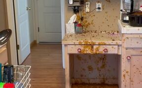 Woman Drops Bowl and Spills Meat Everywhere - Fun - VIDEOTIME.COM