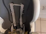 Dog Eats Food Off Messy Baby Chair