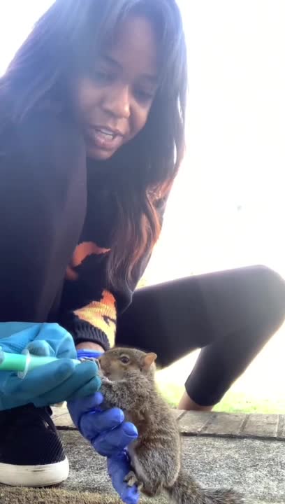Woman Rescues and Feeds Abandoned Baby Squirrel