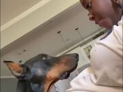 Dog Leans Head on Pregnant Owner's Belly - Animals - Y8.COM
