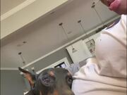 Dog Leans Head on Pregnant Owner's Belly