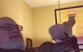 Squirrel Enjoys Playing With Owner - Animals - VIDEOTIME.COM