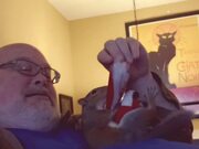 Squirrel Enjoys Playing With Owner