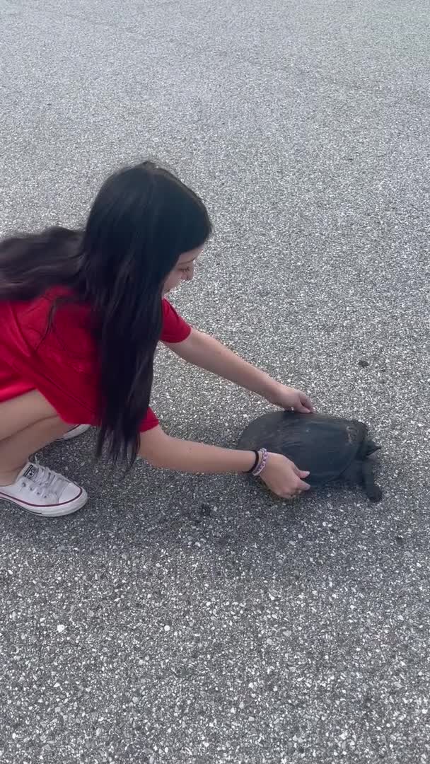 Girl With a Heart of Gold Picks Up Huge Turtle 