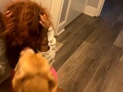 Dog Rips Apart Halloween Mask Worn By Owner
