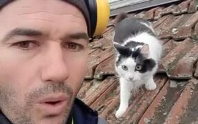 Owner Mimics Cat's Voice - Animals - VIDEOTIME.COM
