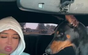 Girl Shares Apple With Doberman - Animals - VIDEOTIME.COM