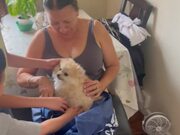 Best Puppy Surprise Ever From Daughter To Mother