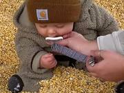 Baby Plays With Corn Kernels
