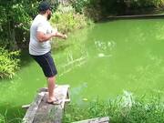 Person Tries to Pick up Fish From Waters But..