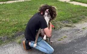 Missing Dog Gets Reunited With Owner After 3 Weeks - Animals - VIDEOTIME.COM