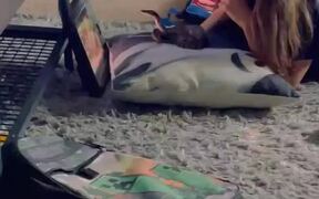 Girl Watches Television With Pet Snake - Kids - VIDEOTIME.COM