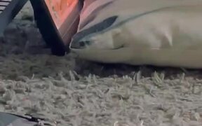 Girl Watches Television With Pet Snake - Kids - VIDEOTIME.COM