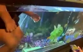 Kid Stands Inside Aquarium