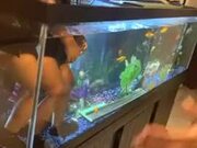 Kid Stands Inside Aquarium