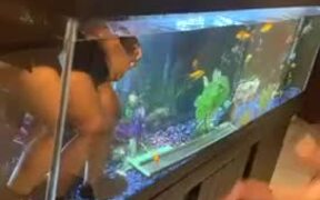 Kid Stands Inside Aquarium - Kids - VIDEOTIME.COM