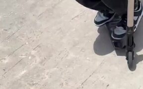 Guy Shows off Impressive Scooter Tricks - Sports - VIDEOTIME.COM