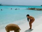 Girl Pets Pig on Beach