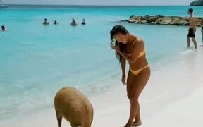 Girl Pets Pig on Beach - Animals - VIDEOTIME.COM