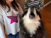 Dog Howls as His Family Sings Happy B-day to Him