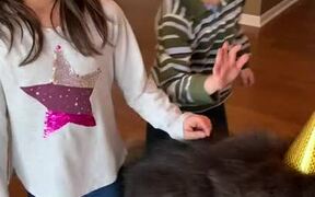 Dog Howls as His Family Sings Happy B-day to Him - Animals - VIDEOTIME.COM