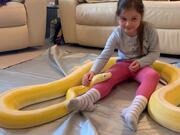 Little Girl Interacting With Her Pet Pythons
