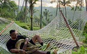 Man Chilling in a Hammock with Pet Python - Animals - VIDEOTIME.COM
