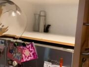 Man Fails to Capture Mouse Hiding Inside Cabinet