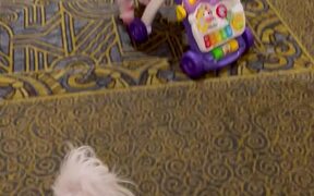Dog Attempts to Jump Over Toddler As She Walks