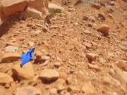 Person Sky Dives Through Rocky Desert