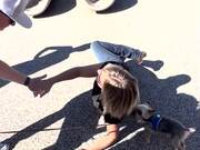 Woman Tumbles and Faceplants On Ground