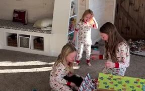 We're Having a Dog! - Kids - VIDEOTIME.COM