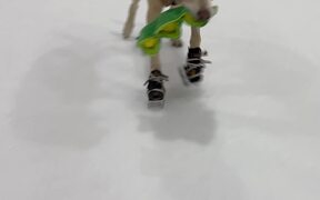 The World's First Ice-Skating Dog Hits The Rink - Animals - VIDEOTIME.COM