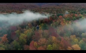 Paint Teaser Trailer - Movie trailer - VIDEOTIME.COM